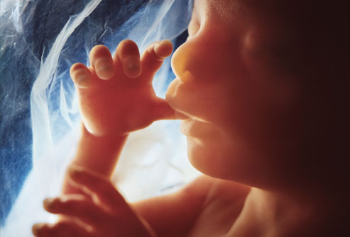 Abortion is not politics. It’s murder. Abortion is not politics. It’s murder.