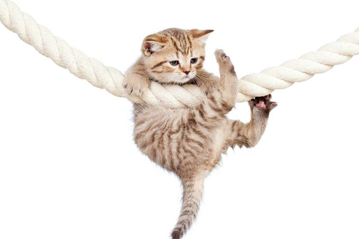 Hang on, Baby!