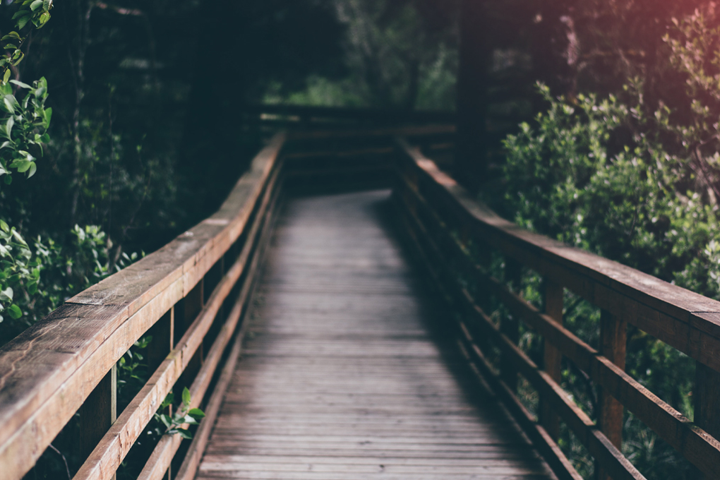Devotional: Jacob & Laban